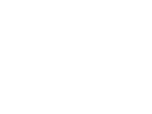 F1_2019_mco_outline