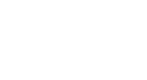 F1 2021 mclaren logo